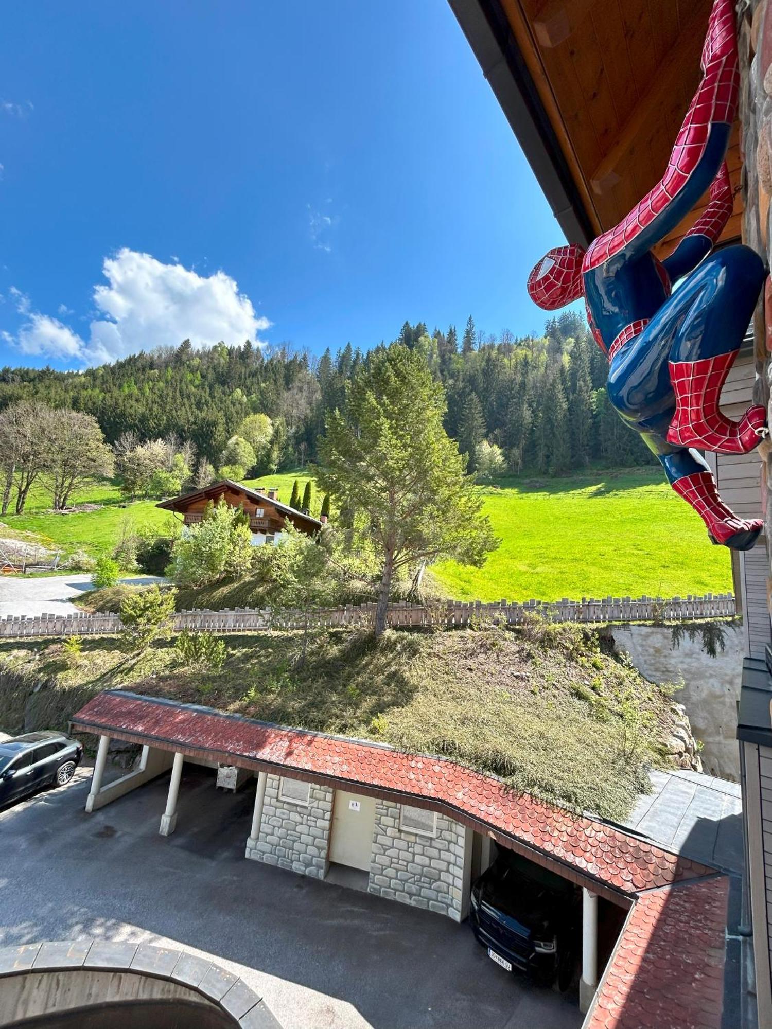 Weitenmoos Panorama Apart&Rooms Sankt Johann im Pongau Exterior foto